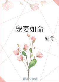 寵妻如命